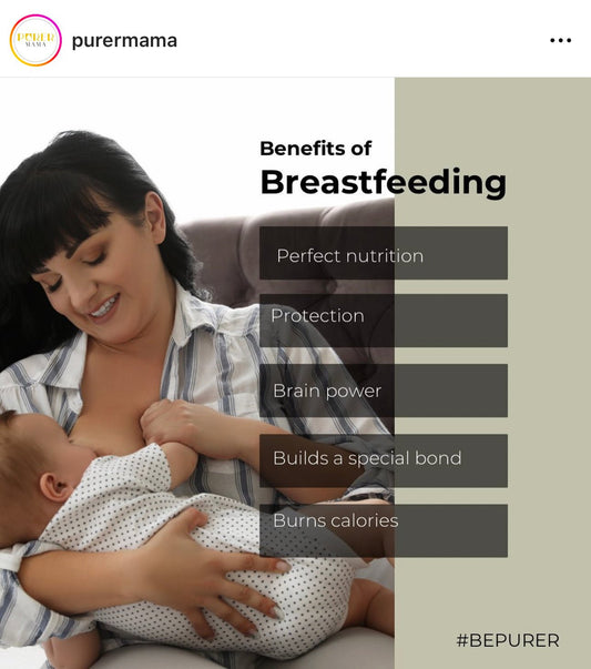 Benefits of breastfeeding and moringa - PurerMama UK